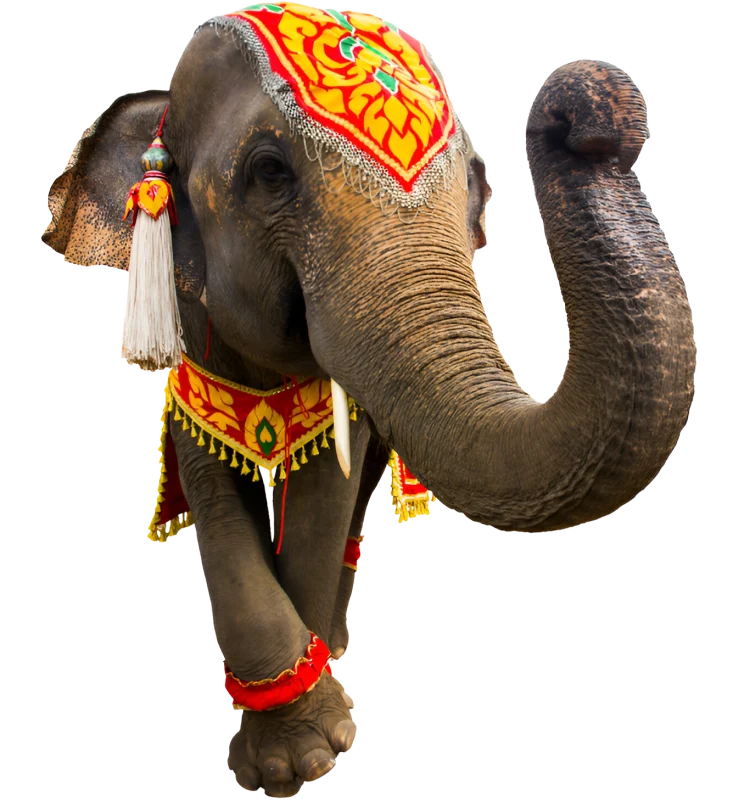 Le Rajasthan Restaurant Mayenne Nos Points Forts